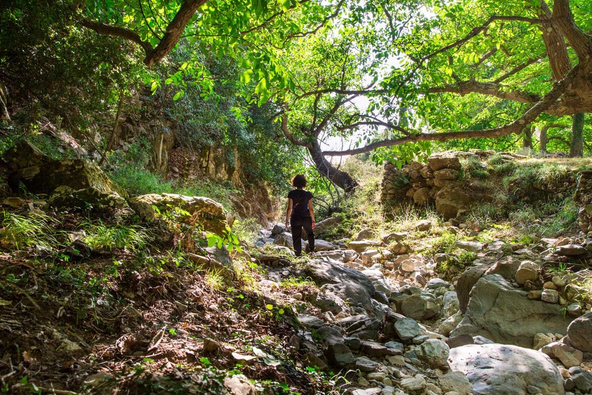 Στην αποσκιερή Μάνη